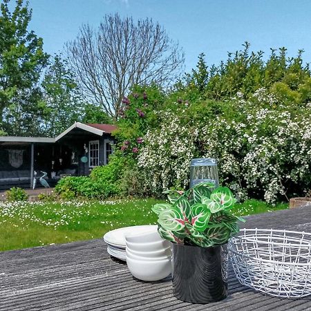 Gorgeous Home In Scharendijke With Kitchen エクステリア 写真
